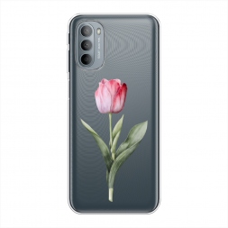 ����������� ����� ������� ������� ���� �� Motorola Moto G31