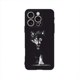 ������� ����������� ����� ���� ������� �� ���� �� iPhone 16 Pro