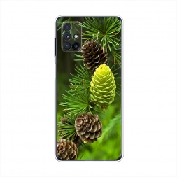 ����������� ����� ��� 13 �� Samsung Galaxy M31s