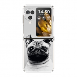 ����������� ����� ������� ���� �� Oppo Find N3 Flip