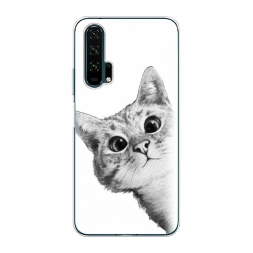 ����������� ����� ��� ������� �����-����� �� Honor 20 Pro