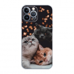 ����������� ����� ������� ��������� �� iPhone 13 Pro Max