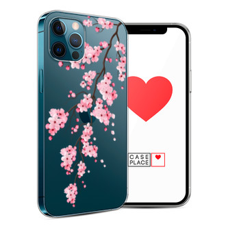 ����������� ����� ������� ������ �� iPhone 12 Pro