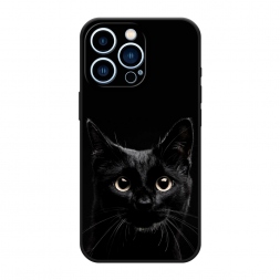 ������� ����������� ����� ������ ��� �� iPhone 13 Pro
