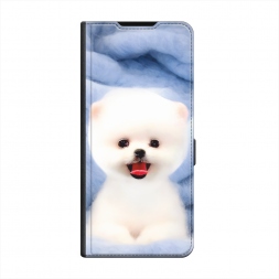  ����� ���� �� iPhone 15 Plus