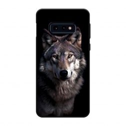 ������� ����������� ����� ������ ������ �� Samsung Galaxy S10E